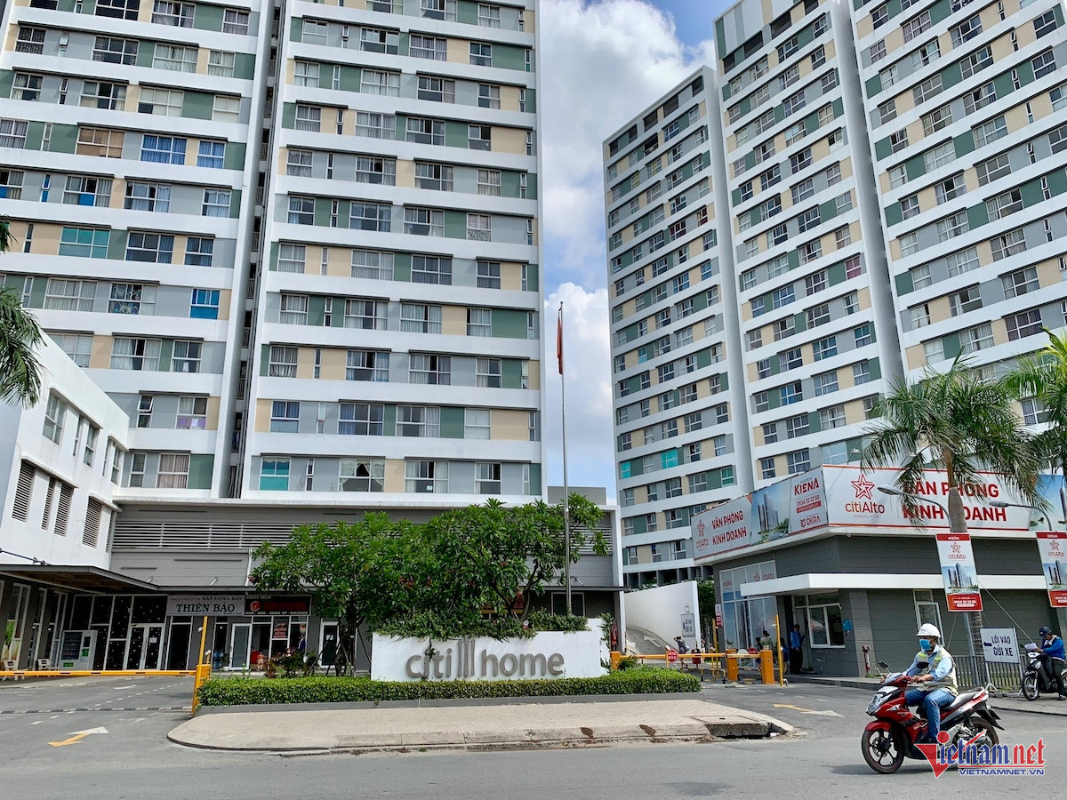 Cat Lai AnhPhuong.jpg