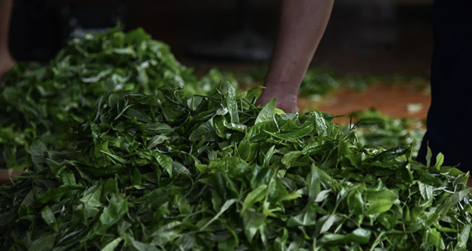 Vietnam intervenes as 500 tea containers stuck at Karachi Port