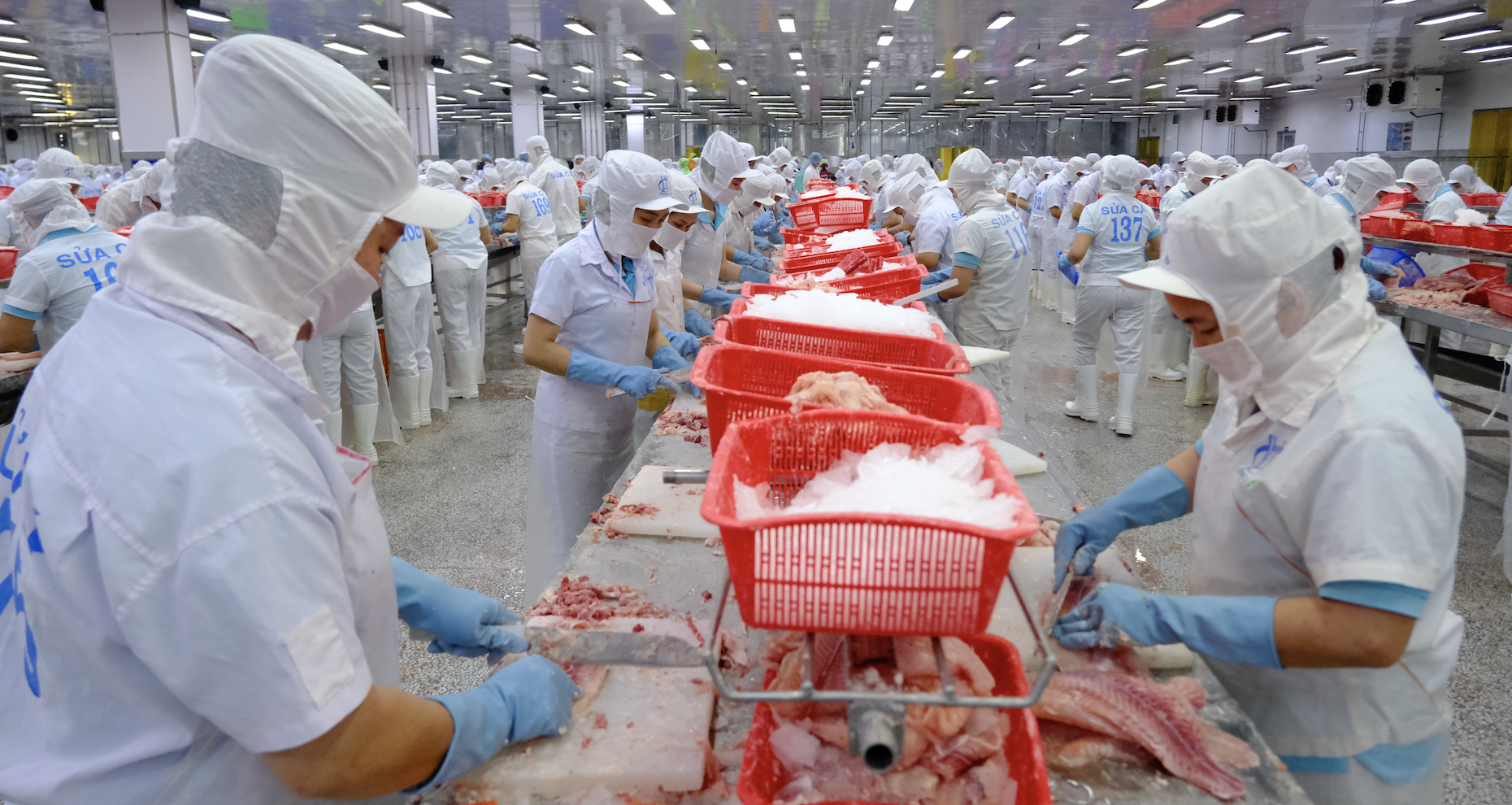 Vietnam sets seafood export record with $2.3 billion to China in 2025