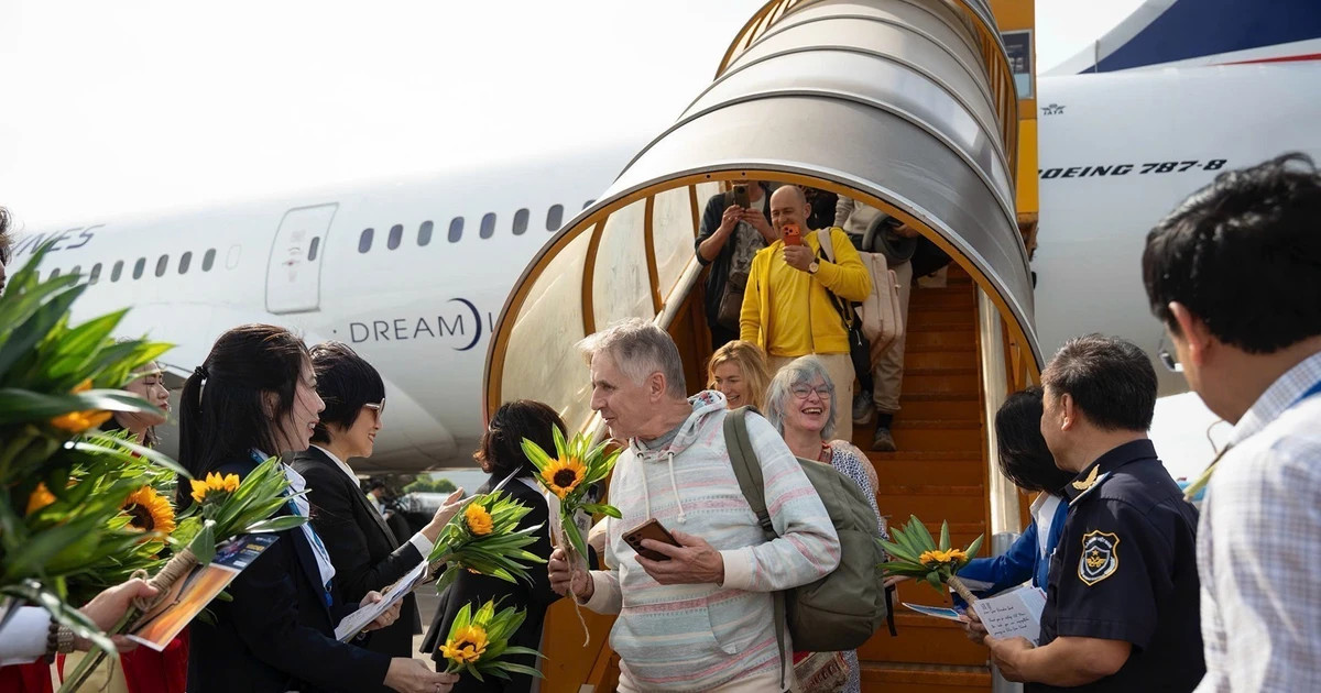 Tourism destinations refresh offerings to welcome New Year visitors