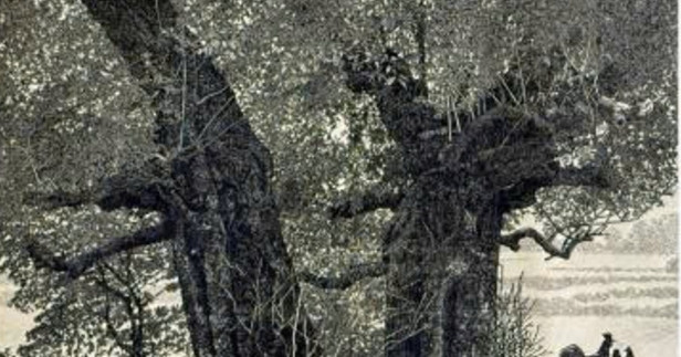 Young and old unite in second Vietnam heritage art competition