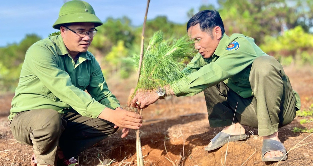 Vietnam spends nearly USD 625 million to plant 1.4 billion trees