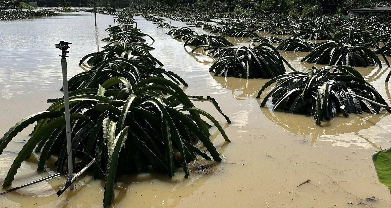 Farmers in Lam Dong lose everything to floods just weeks before Tet