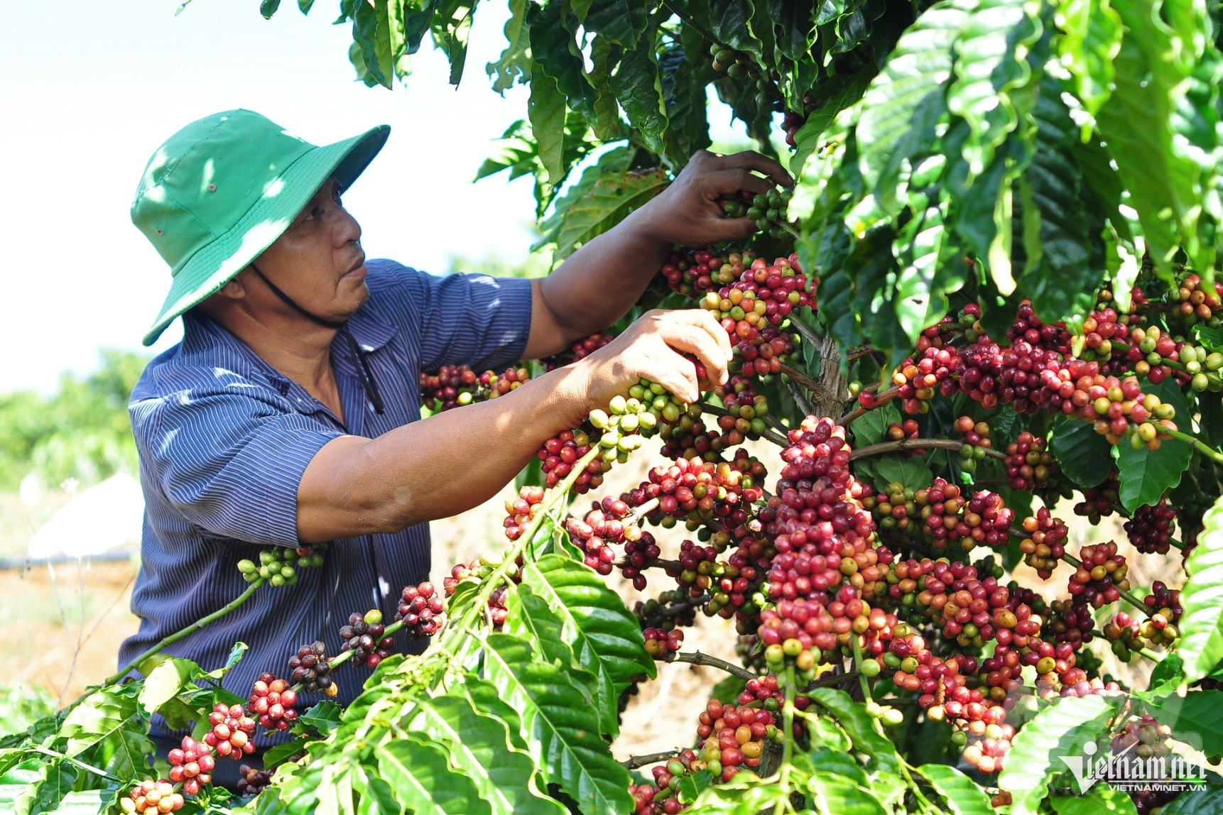 Trillions of dong stuck because of VAT procedures, ministry to amend law