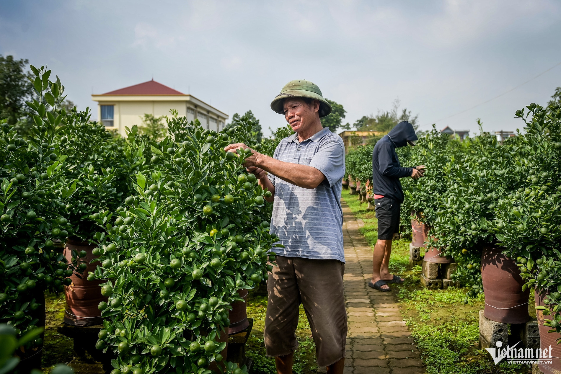 flower village vietnam1.jpg
