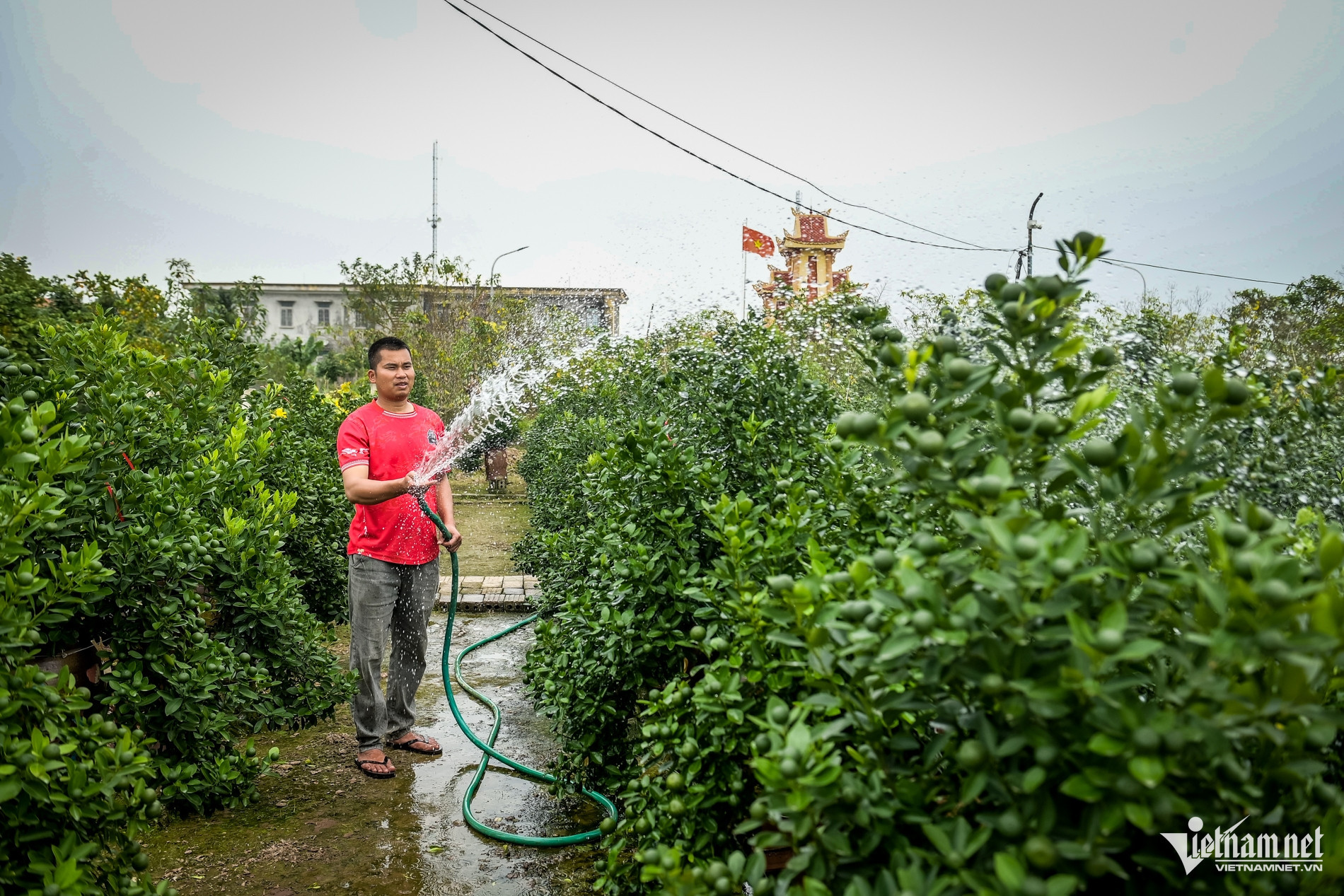 flower village vietnam5.jpg