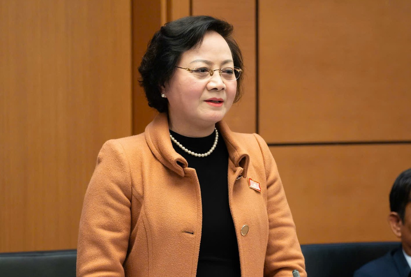 phamthithanhtra 1.jpg