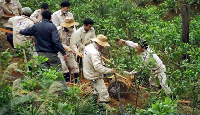 Mine clearance halted in central Vietnam due to US aid suspension