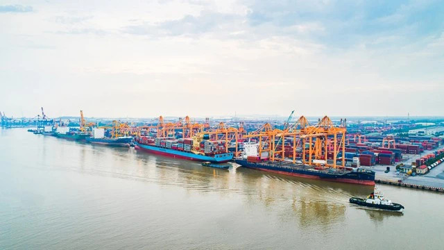 Vietnam's maritime giant hits 100 trillion VND market cap