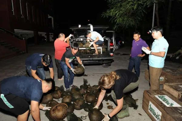 Wildlife rescue centres: a lifeline for trafficked animals