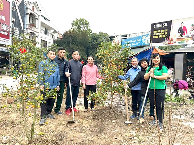 Sweets and peach and kumquat trees gifted again after Tet