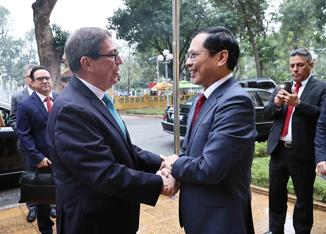 VN, Cuba discuss measures to further beef up bilateral cooperation