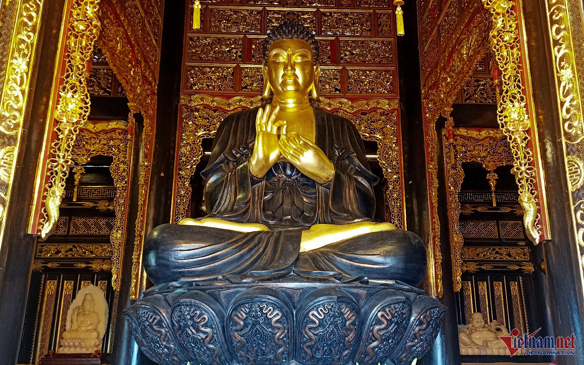 4adcadcvavcad 107277.jpg