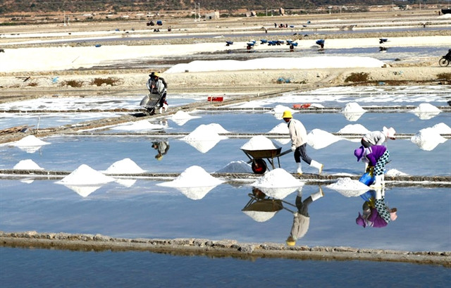 VN Salt Craft Festival 2025 to open in Bac Lieu