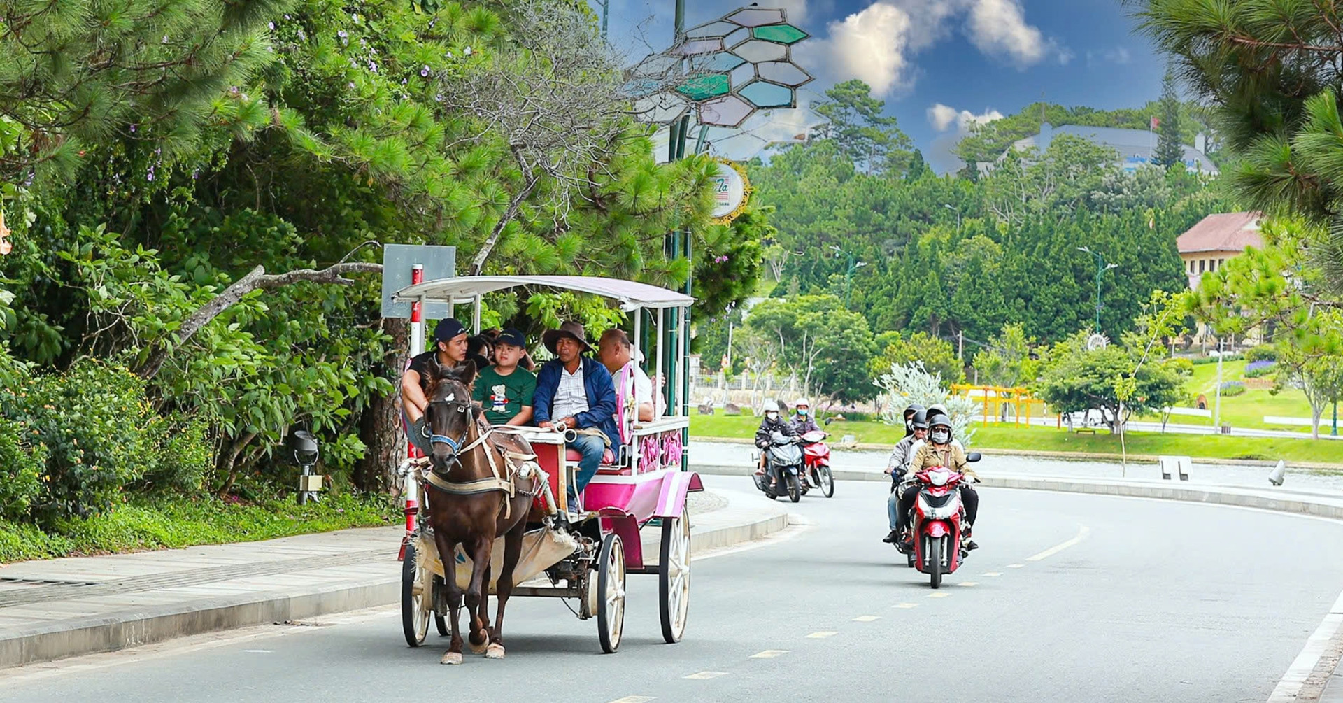 Da Lat bans horse-drawn carriages around Xuan Huong Lake