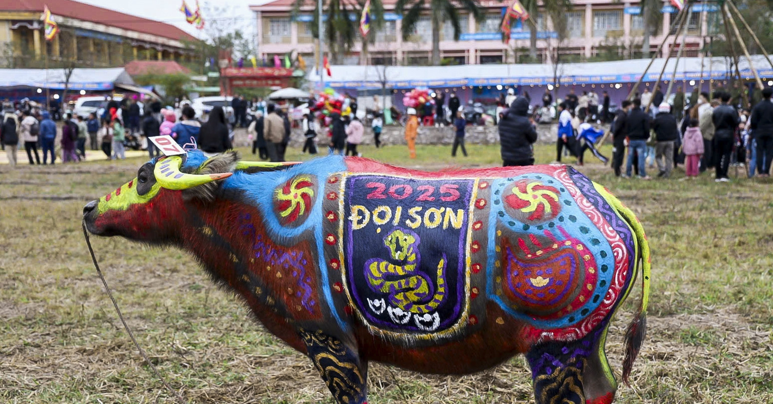 Art and agriculture meet: The stunning buffaloes of Tich Dien Festival