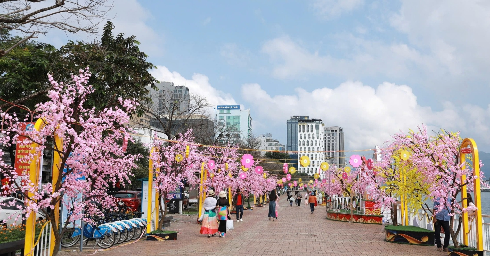 Da Nang extends spring flower street until May for major celebrations