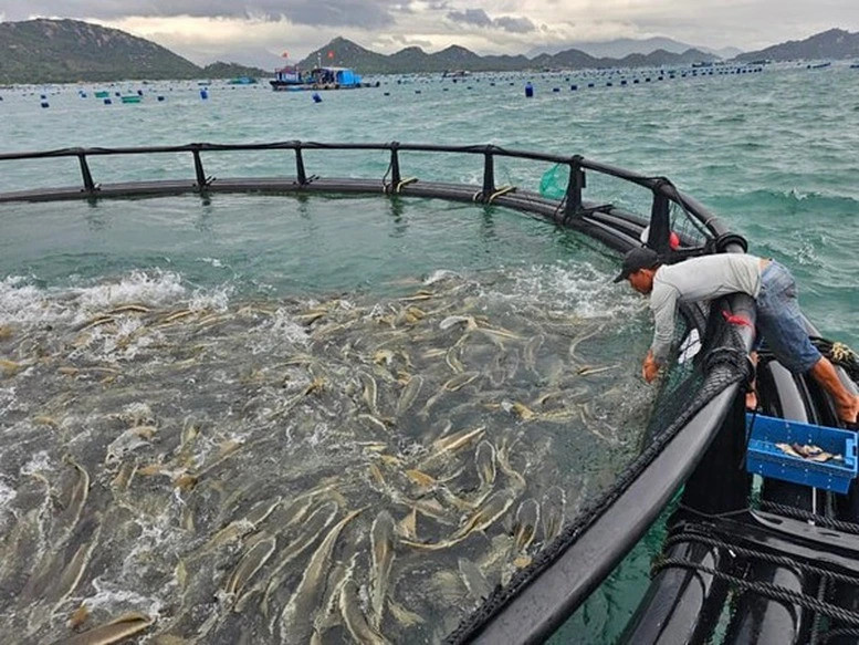 High-tech offshore aquaculture pilot launched in Khanh Hoa