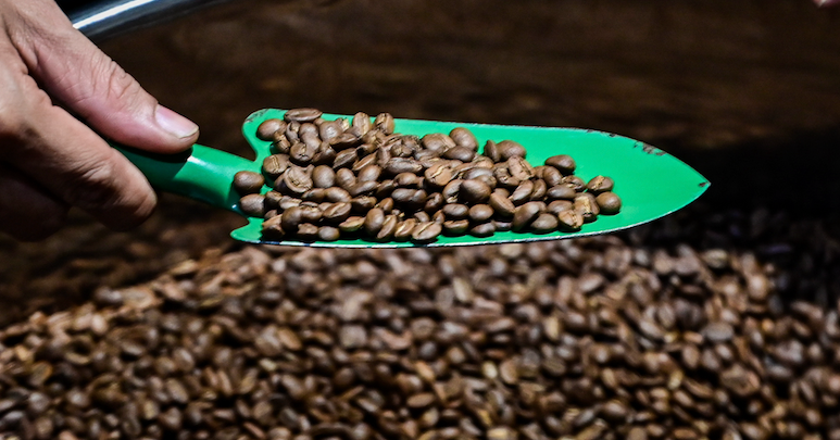 Vietnam’s ‘brown gold’ export surges to record $763 million in January