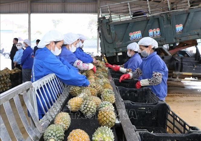 Vietnam, RoK discuss measures to boost bilateral trade