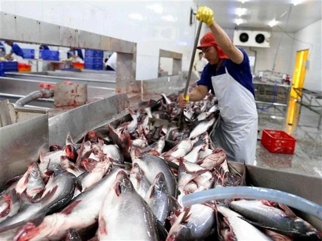 Pangasius fetch record price in early 2025