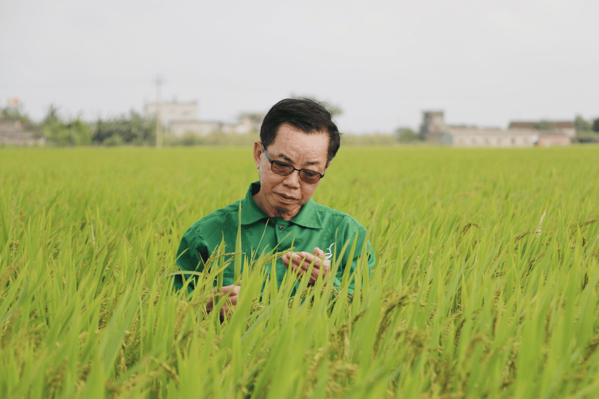 Agronomist: 'I was once condemned for sending staff abroad to study seeding'
