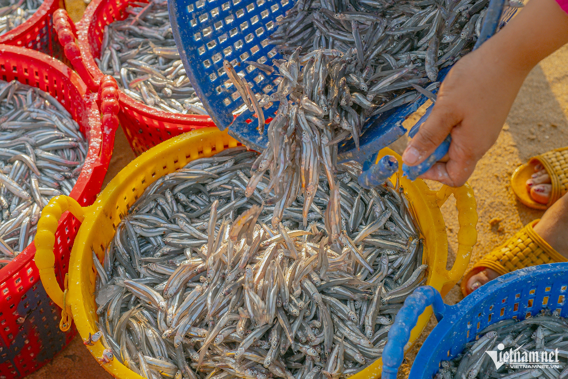 vietnam fishermen.jpg7.jpg
