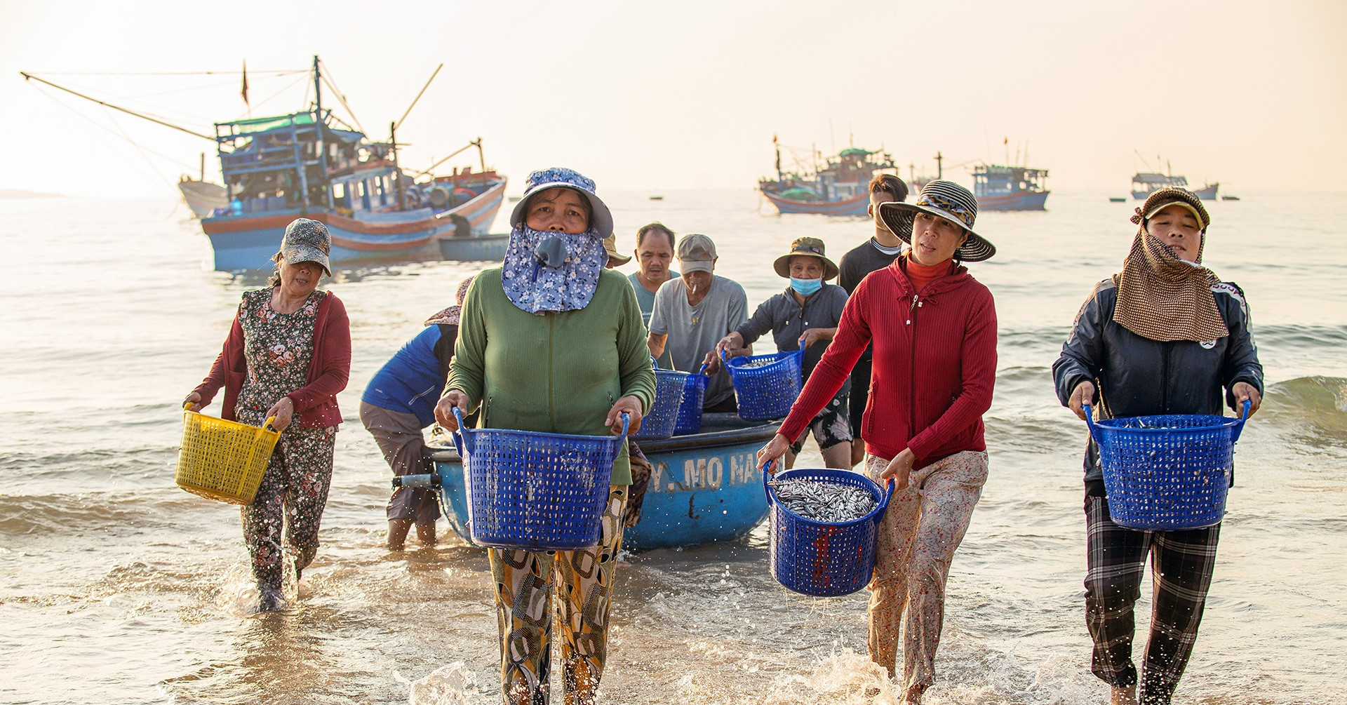 Vietnamese fishermen earn millions overnight with bountiful anchovy harvest