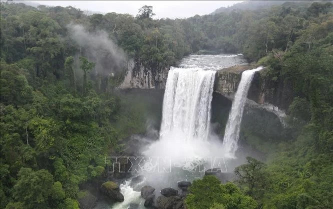 Vietnam works to connect local ASEAN Heritage Parks for better protection
