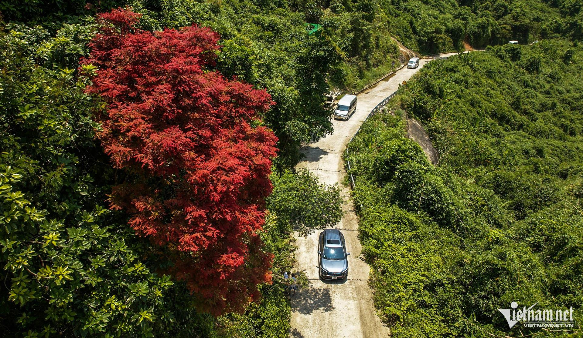 bach ma national park1.jpg