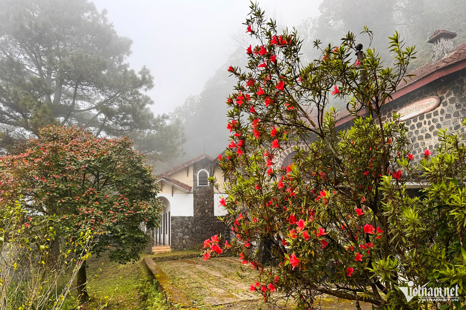 bach ma national park3.jpg