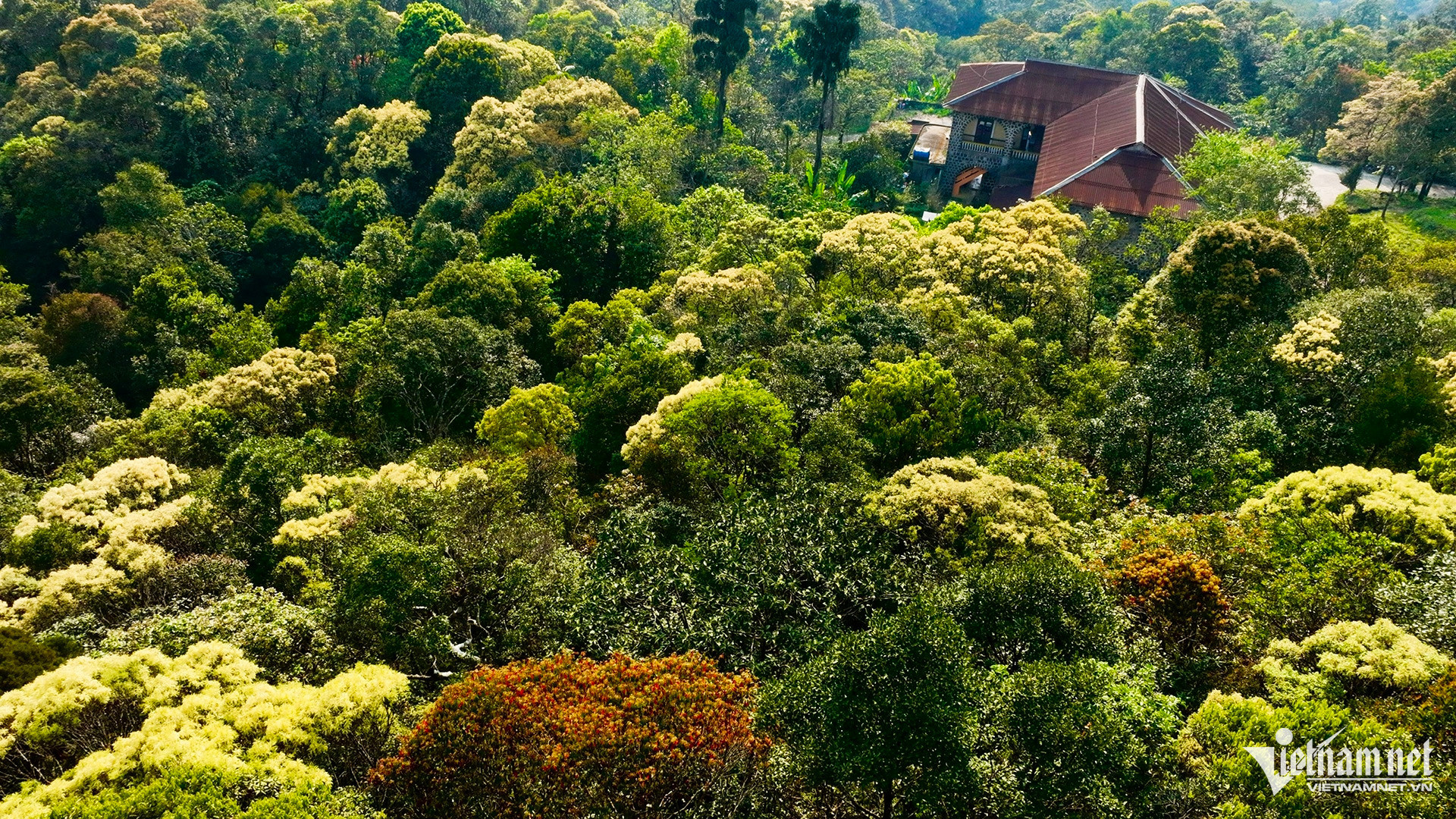 bach ma national park5.jpg