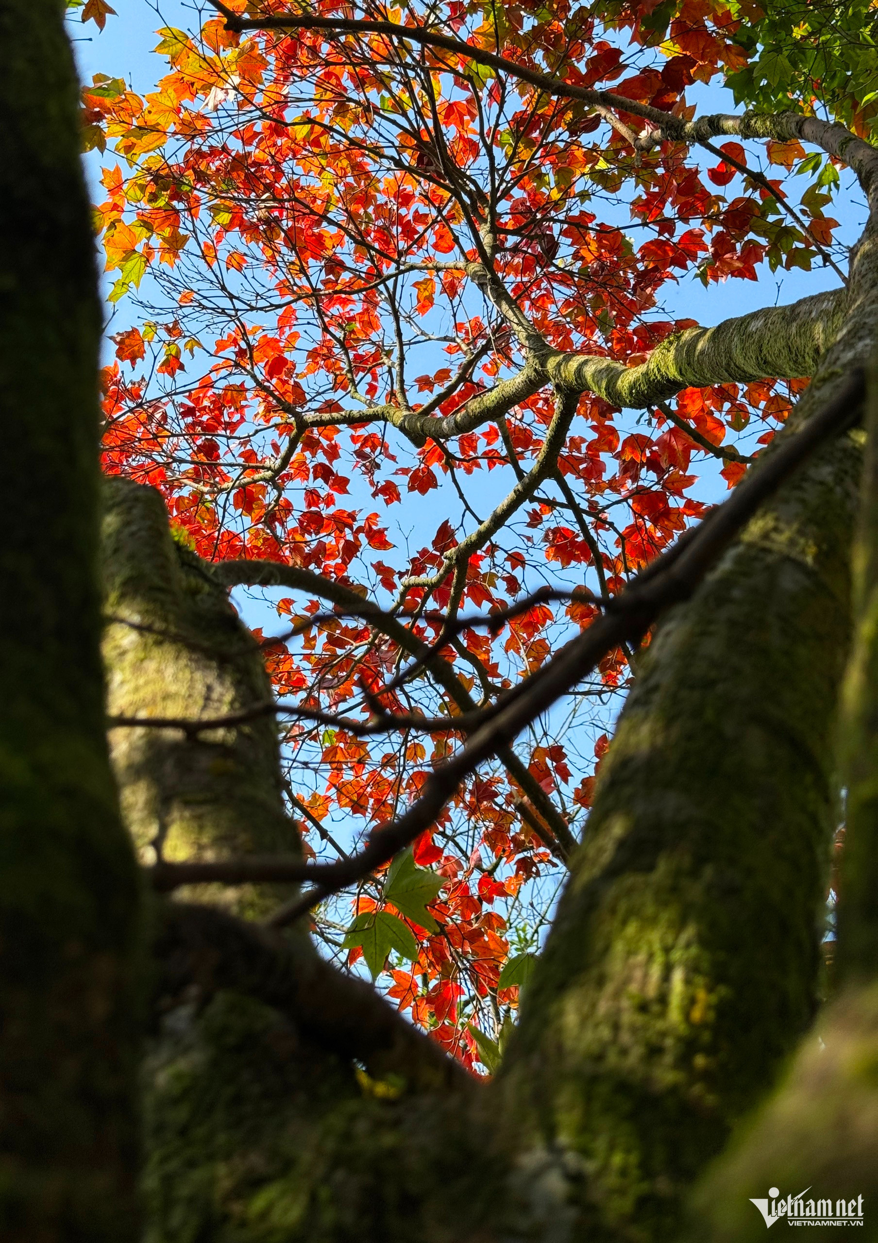 bach ma national park8.jpg