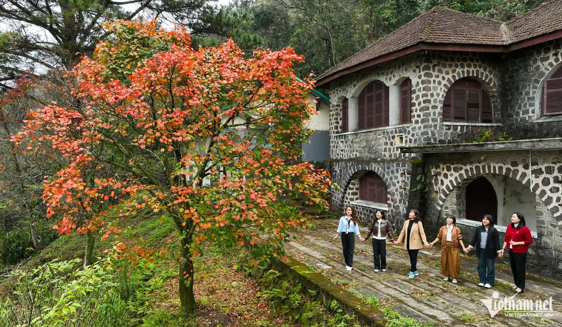 bach ma national park9.jpg