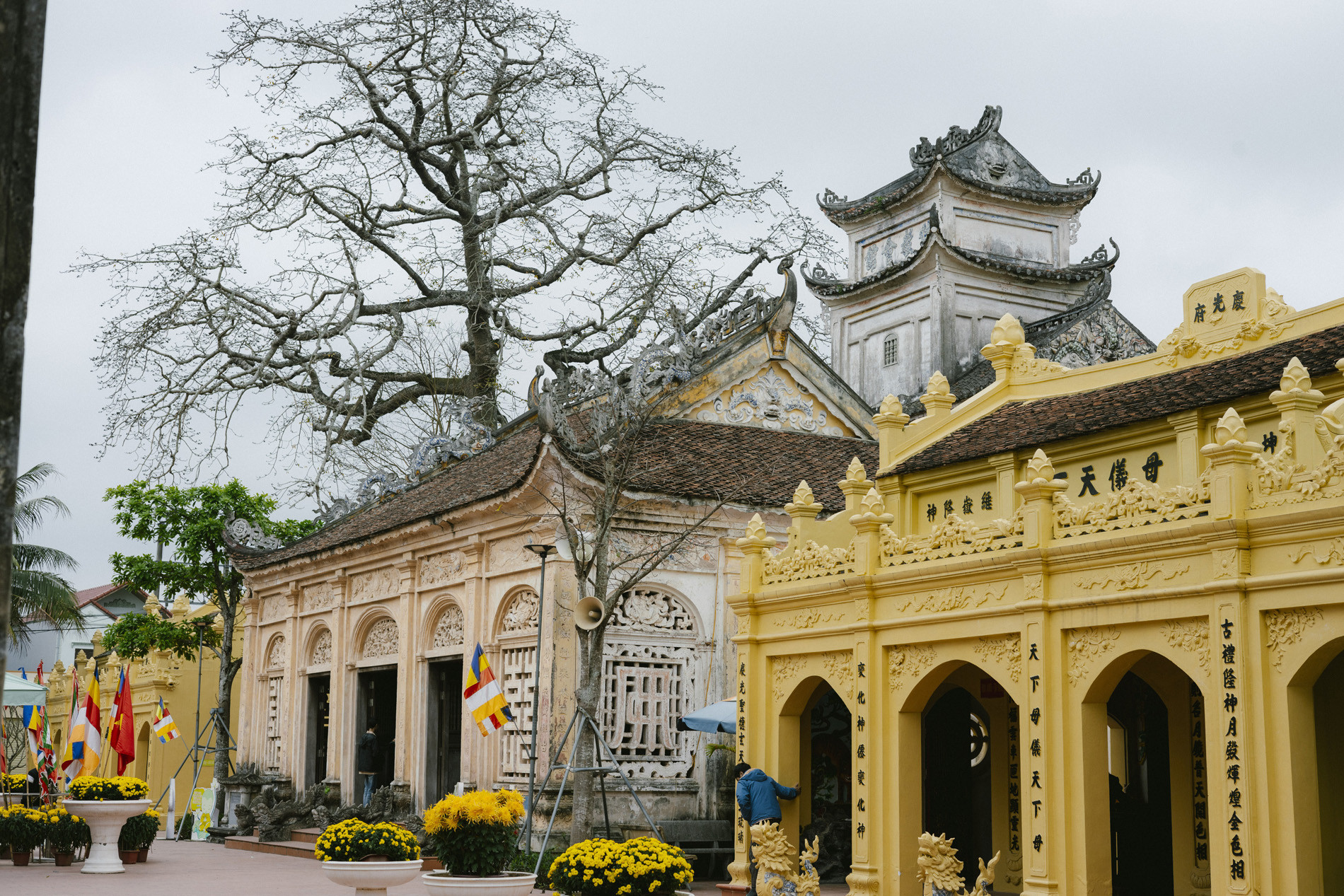 co le pagoda.jpg5.jpg