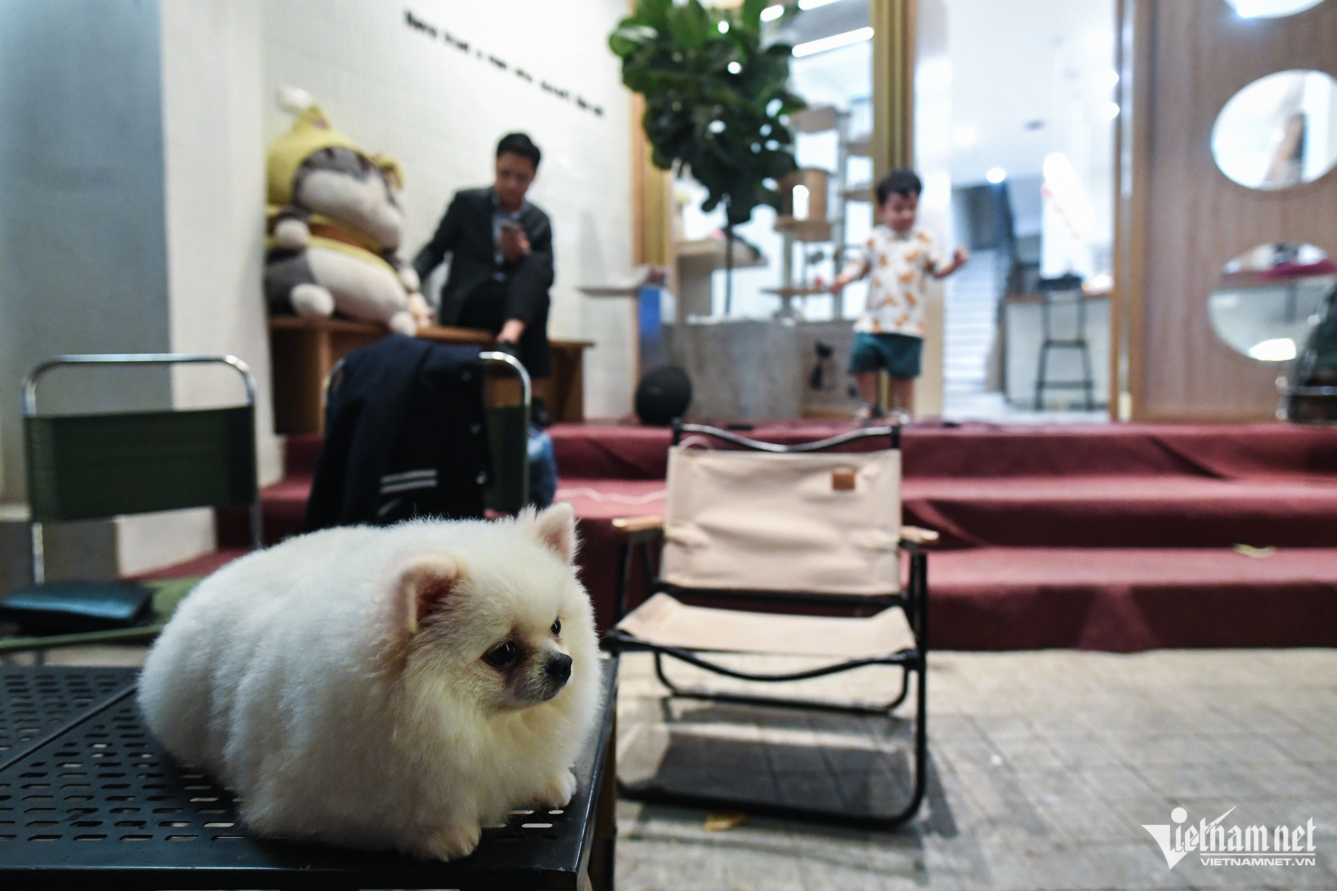 hanoi pedestrian street3.jpg