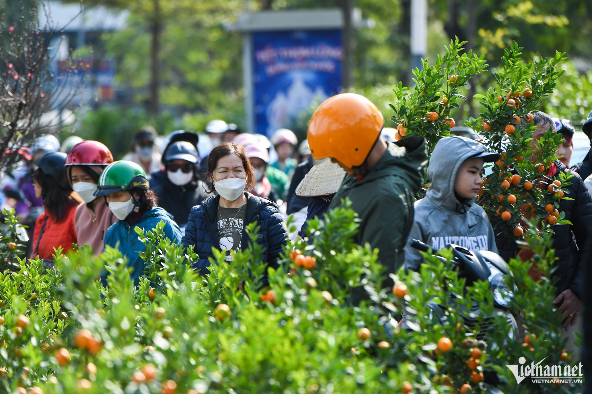 Rising life expectancy, declining birth rates accelerate aging population in VN