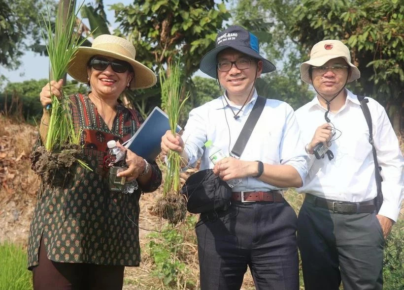 WB pledges continued support for VN's high-quality, low-emission rice project