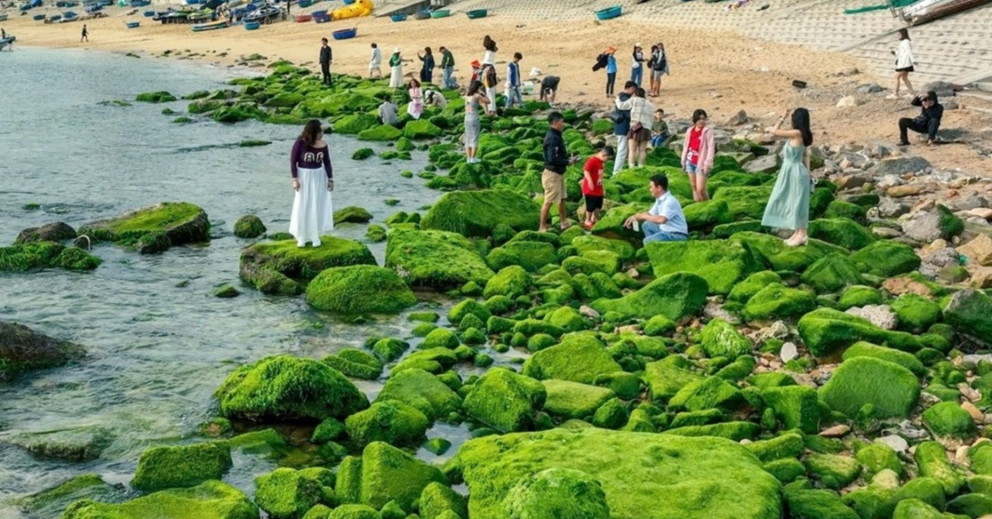 Nhon Hai’s green-moss-covered beach in Quy Nhon wows tourists