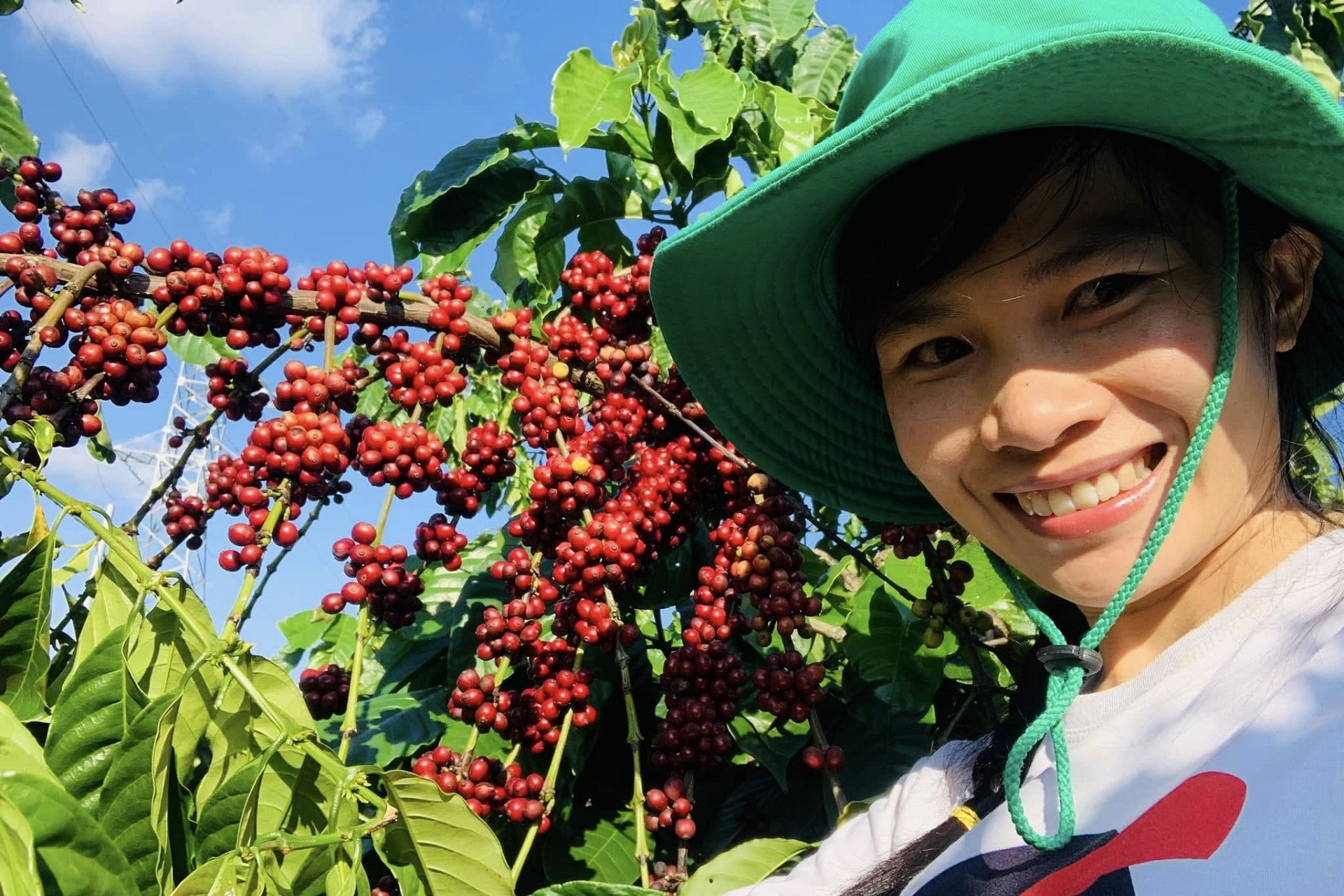 University graduate returns to hometown to start a business in agriculture