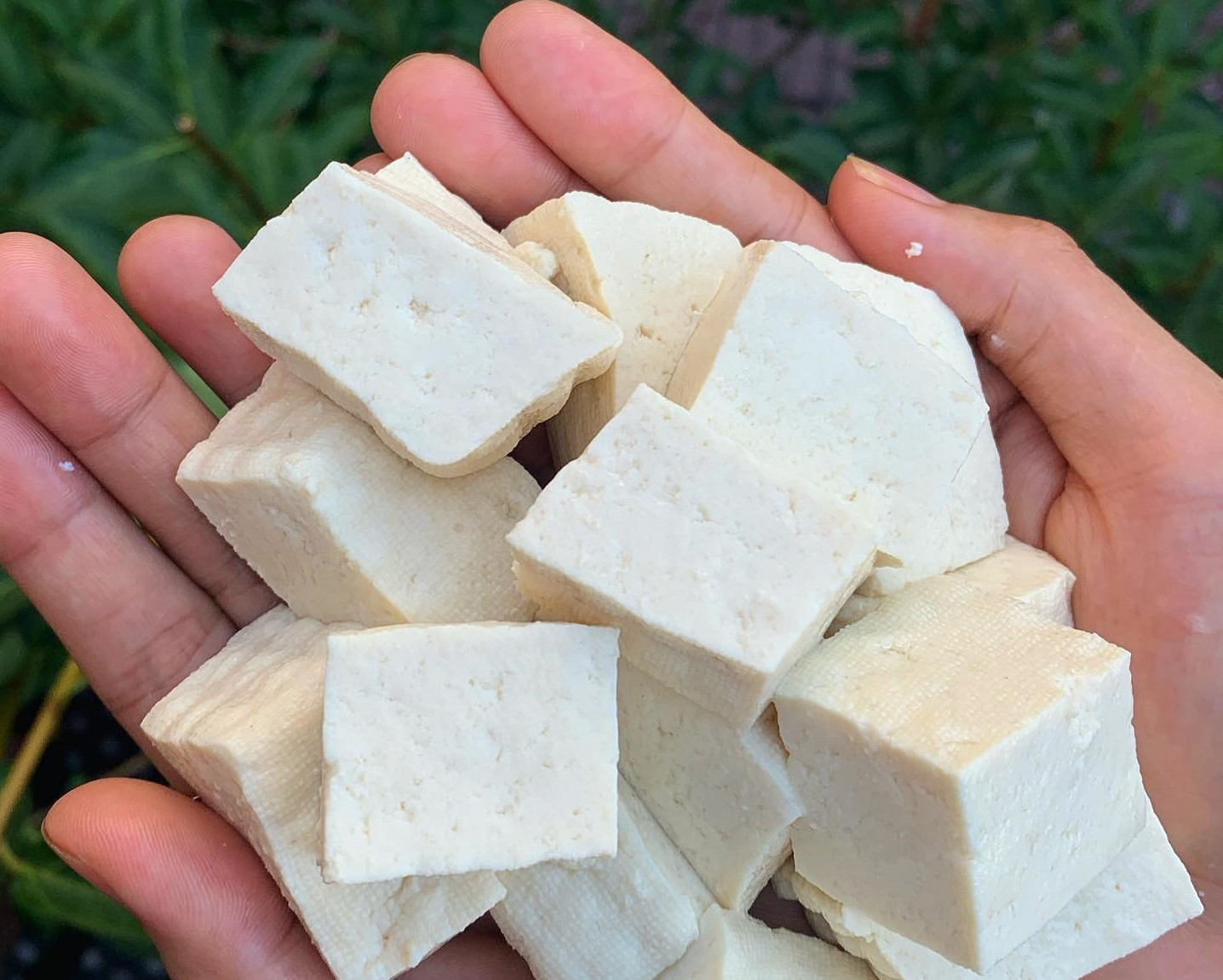 vietnamese food2.jpg