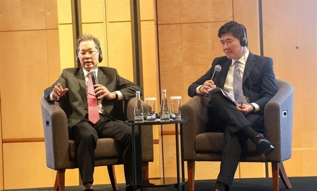 Da Nang investment forum unlocks new frontiers for Singaporean investors