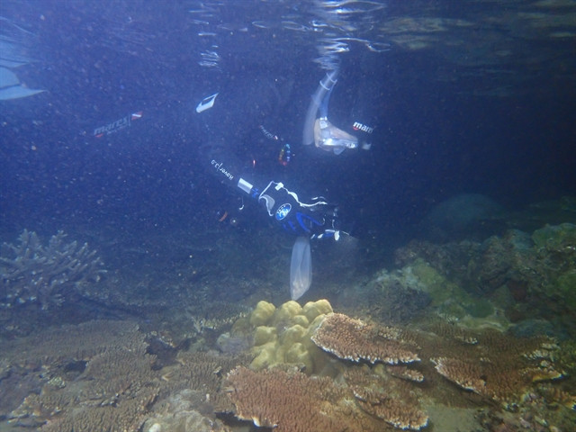 Vietnam achieves coral reproduction milestone