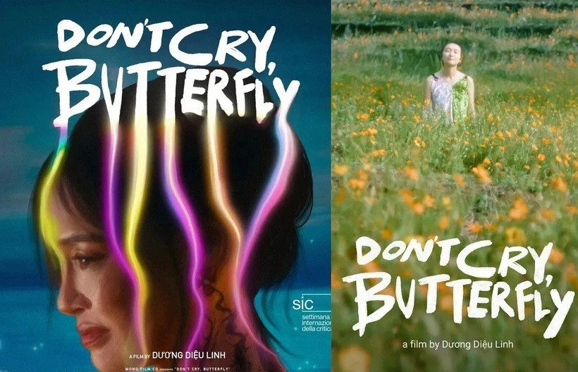 “Don’t cry, Butterfly” wins hearts, opens Vietnamese Film Days in US