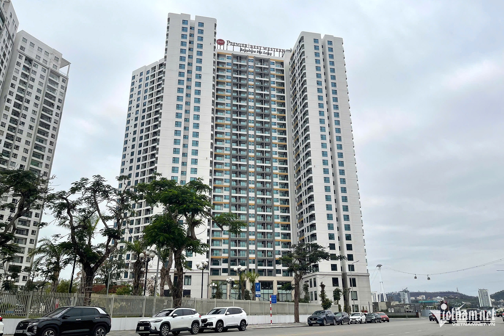 W-2add8d7f 8601 41a7 be09 71d61165795e.jpeg