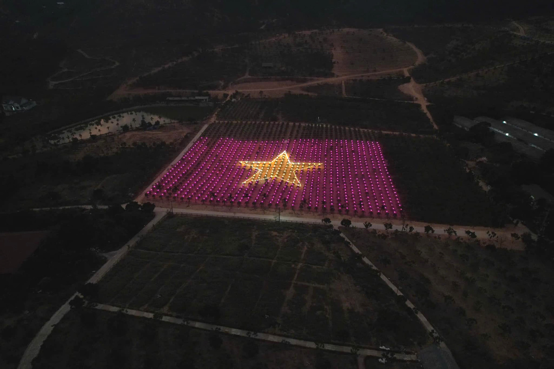 vườn thanh long vĩnh phúc 4.jpg