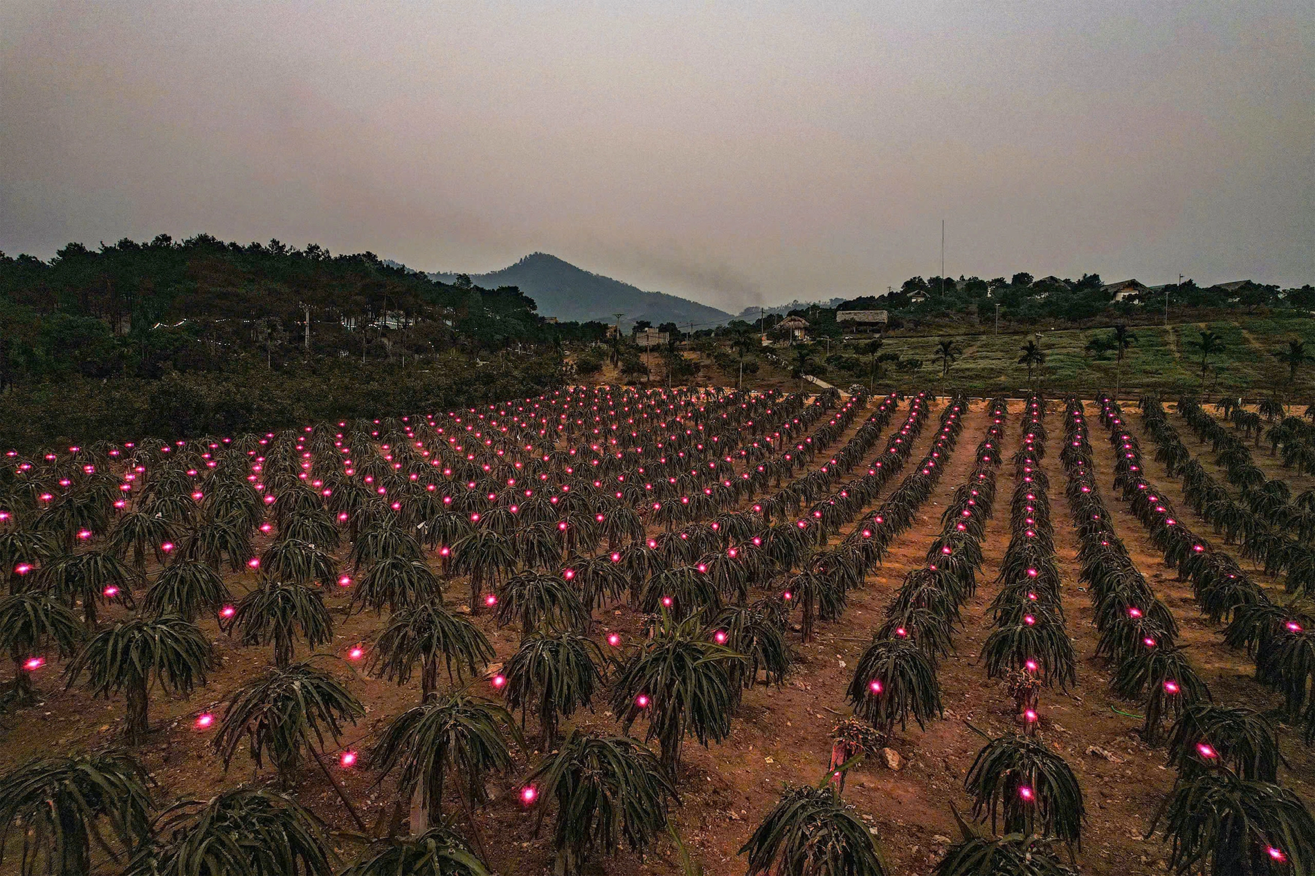 09a0f154 7ac2 4605 a83b da6533 4546 8370 1737786804.png