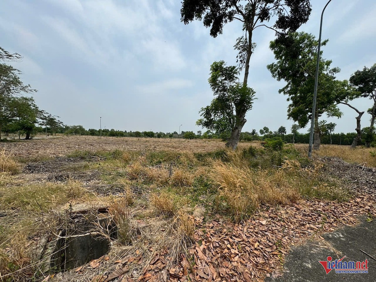 W-nhơn trạch 3.JPG.jpg