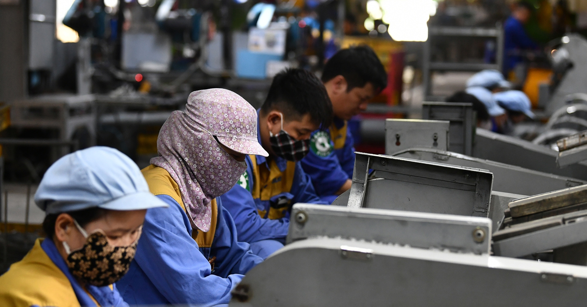 Vietnam kicks off 2025 nationwide business survey for GDP and policy planning