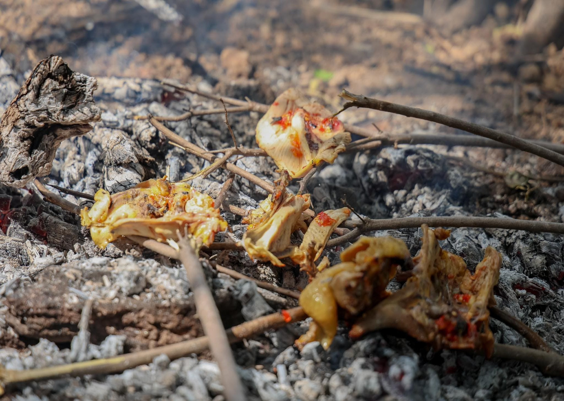 vietnam landscape10.jpg